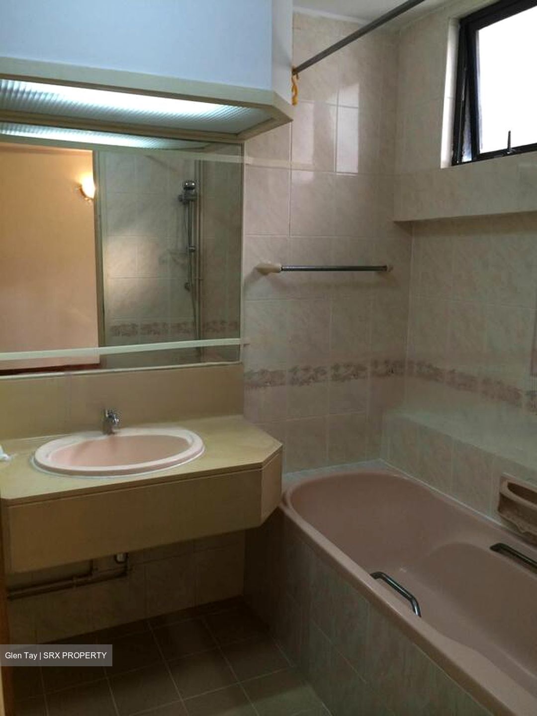 Tanglin Park (D10), Condominium #583919621